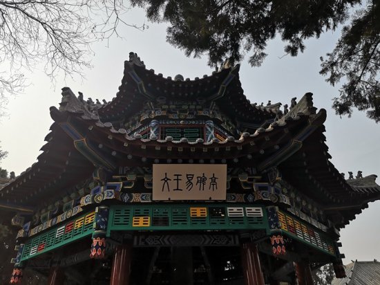 写意中国探寻汉字起源丨河声：一笔一划皆我心！