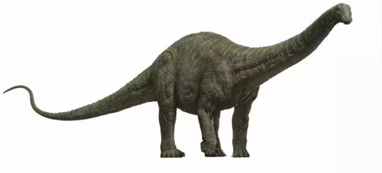 侏罗纪<em>世界里的恐龙</em>，柯迪亚克最像哪个？