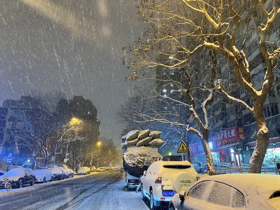 图集丨北京迎龙年初雪