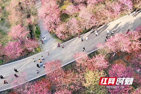春节假期，常宁实现旅游收入3.15亿元