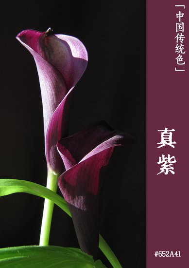 <em>紫色</em>魅力：李白为什么爱<em>紫色</em>｜文物中的中国传统色