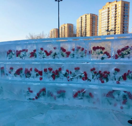 哈尔滨“冰玫瑰”火上热搜，网友：这不AI吗
