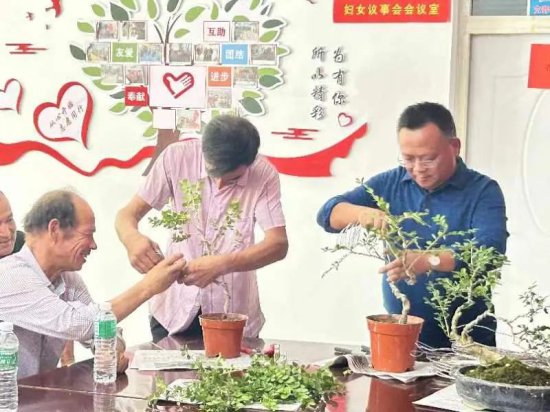 奎依巴格乡：黄杨盆景造型技术 拓宽群众致富增收途径