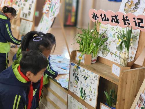 <em>义乌市</em>杨村小学举办“绿色·儿童友好”特色作业展活动
