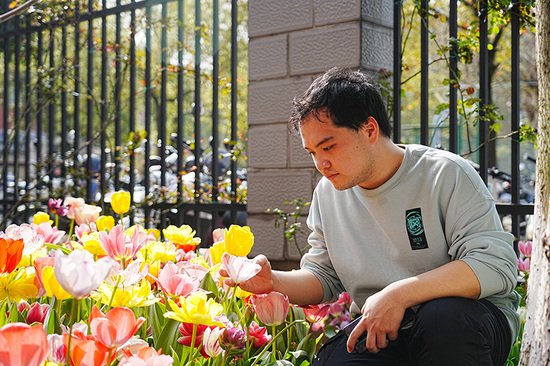 宜春学院有一片郁金香花园