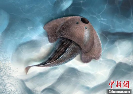 中科院团队发现约4.38亿年前古鱼新物种“<em>眼镜</em>蛇大庸鱼”
