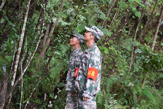 云南西盟：守护绿水青山 绘就绿美图景