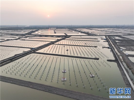 江苏连云港：光伏发电助力绿色低碳发展