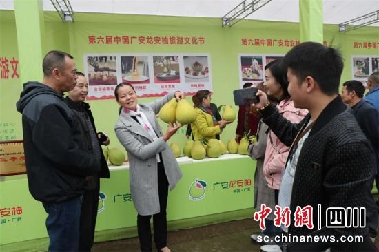 第六届中国广安龙安柚旅游文化节开幕 吸引近万人来尝鲜