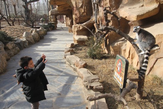 <em>北京口碑最好</em>的动物园，虽在六环外，旺季却是人满为患
