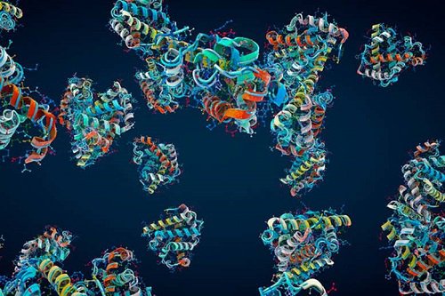人工智能从头开始<em>设计</em>出灭菌蛋白，同样的方法有望用于新药研制