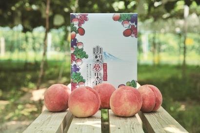 在上海种出全国最好的桃子