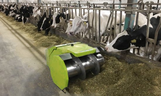 悄悄发生的中国养牛“革命”：智能项圈让牛精准繁殖、自动喷淋...
