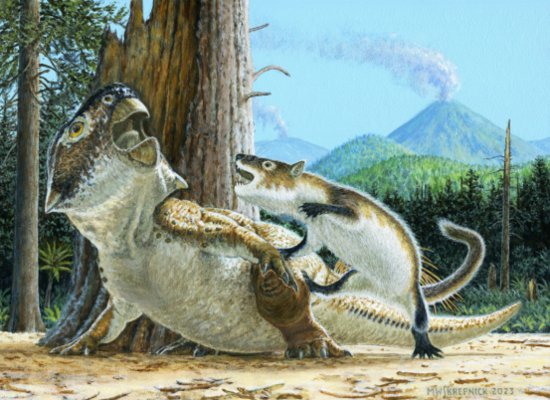 人类首次发现！白垩纪恐龙“霸主地位”受到挑战