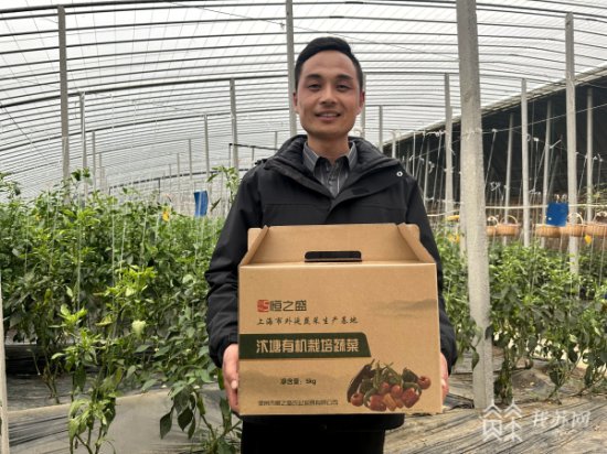 大棚里的“新农人” 为徐州贾汪农业产业带好头