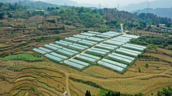 贵州大方：循环经济打造宜游宜居小农田园综合体