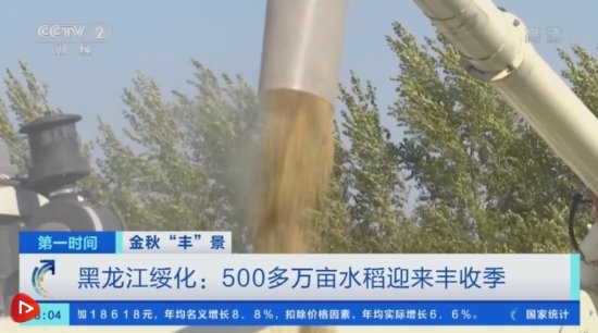在希望的田野上 | 黑龙江<em>绥化</em>500多万亩水稻迎来丰收季