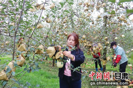 庆阳市西峰区：家庭农场为乡村振兴注入新活力