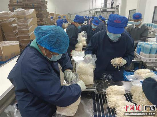 广西贵港因地制宜发展农业 促进乡村振兴