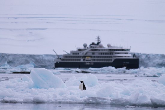 去南极的年轻人 花10万“重启人生”？