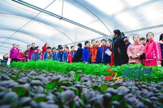 莱州双语学校组织开展<em>盆栽蔬菜种植</em>体验活动
