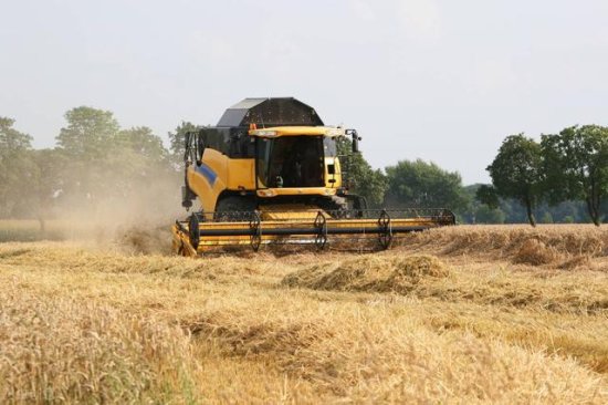中国宣布：进口全境俄罗斯<em>小麦</em>，国际粮价高涨，有<em>什么预兆</em>？