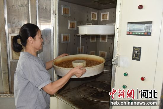 河北景县：“小虫子”孕育大产业 亩均收入上百万元
