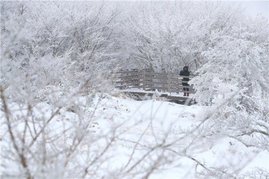 韩国<em>汉拿山</em>雪后风景如画