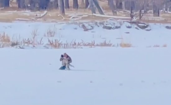 美国一只狗狗在雪中走失7天后与主人重聚