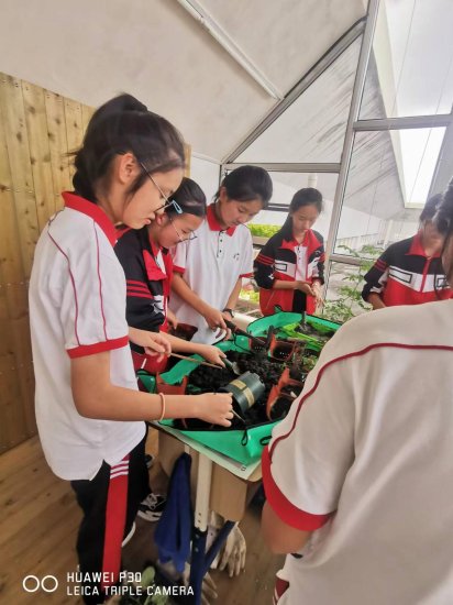 温州外国语学校协同推进绿色校园，科学完善育人机制