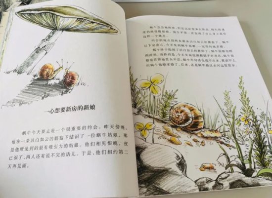 孩子百读不厌的《杨红樱画本：科学童话系列》，被家长们热捧！