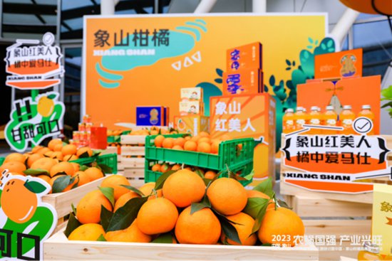 浙江象山：做好柑橘产业文章 让“红美人”“长红”