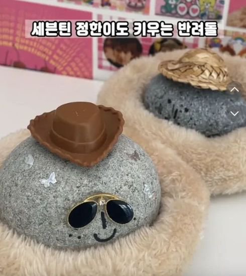 韩国人养的「宠物石」，是<em>什么</em>鬼？
