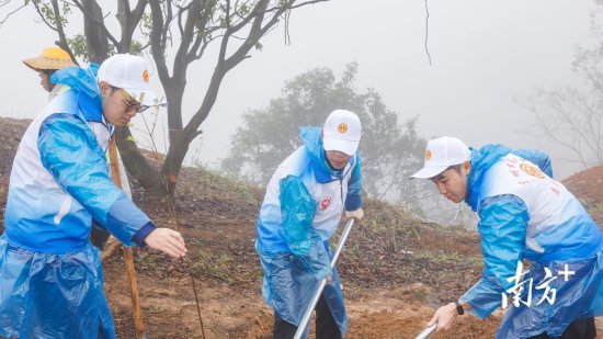 羊城职工志愿服务活动启动！广州工会义务植树4万多棵