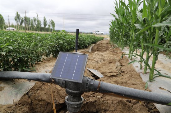 新疆和硕：“智慧农业”让农田灌溉节水增效