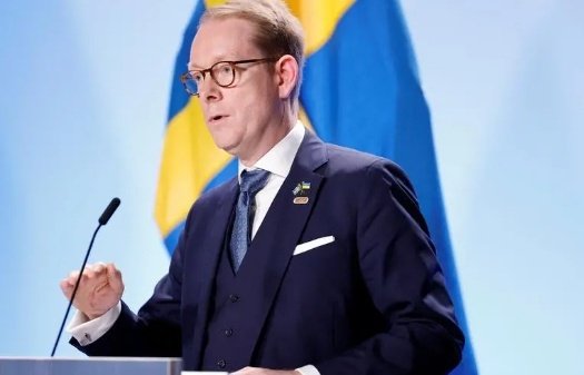 瑞典外交大臣：土耳其外长称批准瑞典入约程序可能在<em>几周</em>内完成