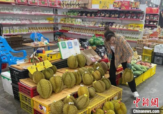 进口品种日益丰富 中国—东盟水果贸易持续火热
