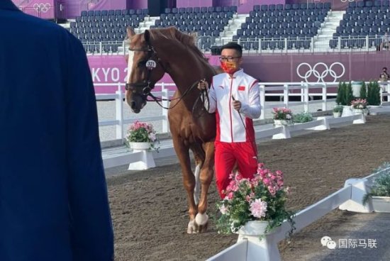 东京奥运会上8位中国队“马匹运动员”性格大揭秘~