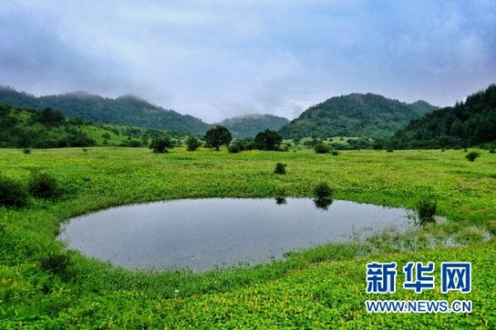 巫山五里坡成为重庆<em>第三个世界</em>自然遗产地