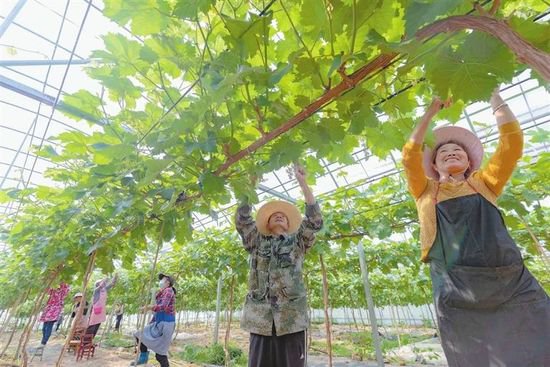 省部共建 绿色兴农 江西省打造区域性优质农副产品生产供应基地