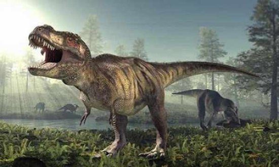 <em>恐龙</em>灭绝于小行星撞击，找到证据了吗？
