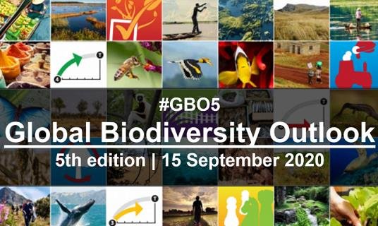联合国发布第五版《全球生物多样性展望》针对自然现状提供<em>最</em>...