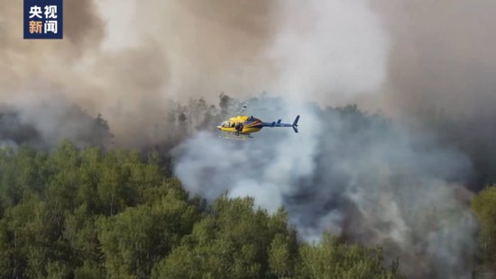 加拿大森林火灾致碳排放量持续上升 专家警告“危险循环”