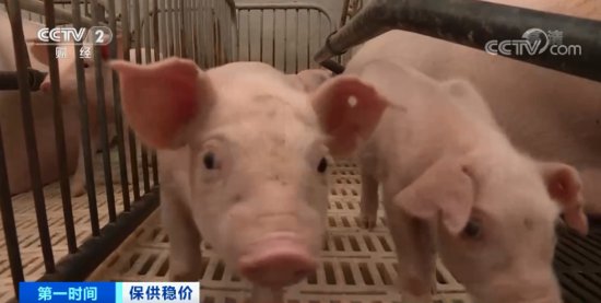农业农村部：“多<em>买猪肉</em>，多吃<em>猪肉</em>”！
