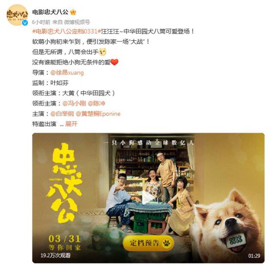 电影《忠犬八公》定档 《忠犬八公》主演是中华田园犬