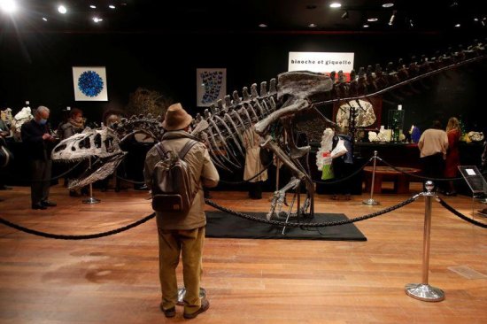 神秘买家拍下1.5亿年前<em>恐龙</em>骨架化石