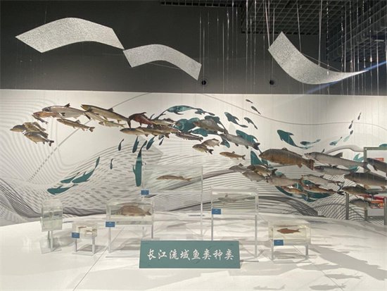 展讯|“五一”来<em>天津自然博物馆</em>看《水中精灵——长江鱼类展》