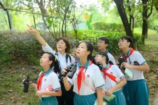 “绿美青年林”小程序上线！广东3万棵树苗有了“守护者”