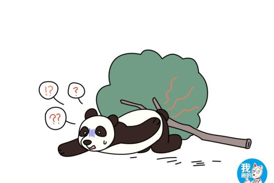 熊猫压垮树枝坠落，像是低估了自己的体重？团团：忘记开降落伞...
