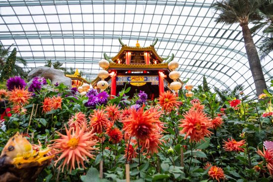 到此一游丨春节赏花好去处，在新加坡逛中式园林